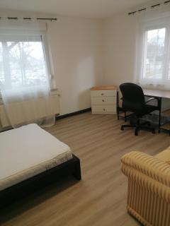 Strasbourg Pont de l'Europe - 8