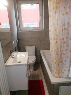 Strasbourg Pont de l'Europe - 3