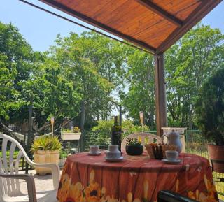 Casa Rural "OLIVER" Bardenas - 5