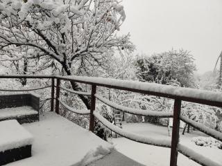 UNDER THE GREEN ROOF - 5