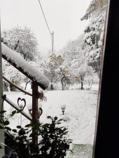 UNDER THE GREEN ROOF - 6