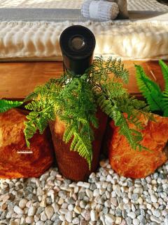 La SiGo Homestay - 2