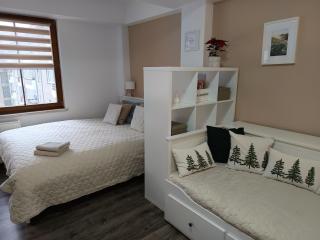 Apartmán 29 LANOVKA - 6