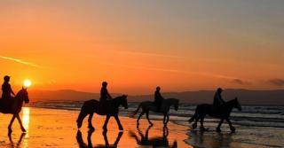 Appartement 5 mn des plages Taghazout surf - 4