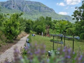 Ramonda Serbica- Authentic Nature Retreat in Sicevo Gorge - 8