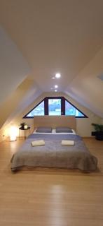 Rooftop Deluxe apartment - 1