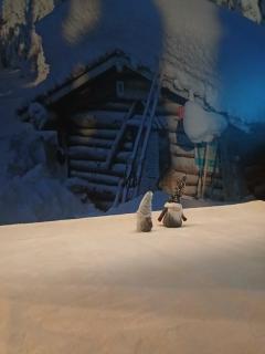 Wolf Street Snow Dream - 7