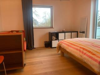 A cozy room in a modern House - 7