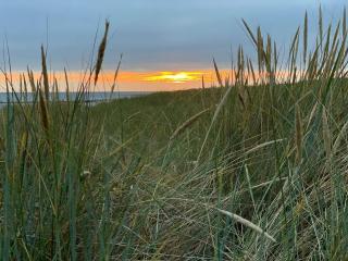 Luxury Retreat with Pool - By Traum Ferienwohnungen - 5