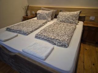 Ramonda Serbica- Peaceful Retreat in Sicevo Gorge - 5