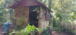 Loh jinawi Guest House Bunaken - 1