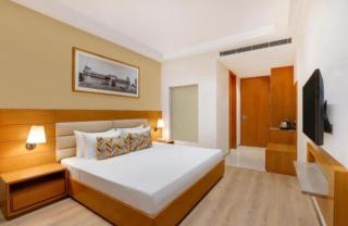 Hotel Red Plaza-Near Delhi Airport-Free Airport Drop - 5