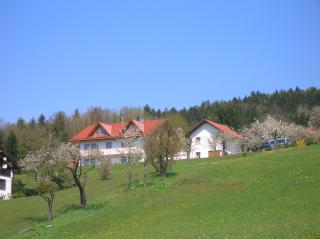 Ferienwohnung Zur schönen Aussicht - Lalling - 9