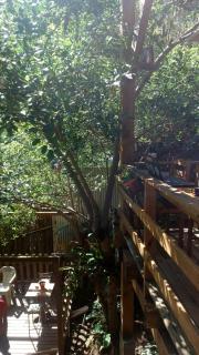 Maia House Hostal - 4