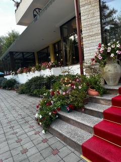 Pensiunea Iulia Star - 4