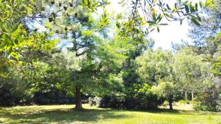 Senda Marina Aparto Hotel - 7