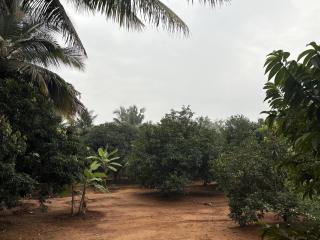 Ashokavani Farm stay - 3
