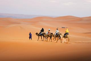 Sandrock Luxury Camp - 1