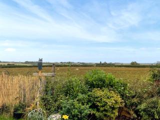 The Room Next Door - 1