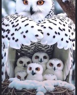 LandLust Guesthouse B&B Amsterdam Area Purmerend - 1