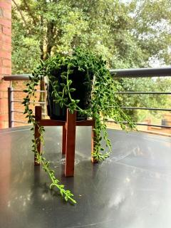 Apartment of Convenience-In the heart of Midrand - 2