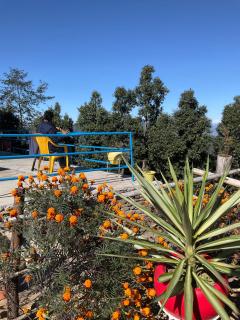 Aranya Anandam Homestay - 2