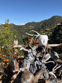 Aranya Anandam Homestay - 3