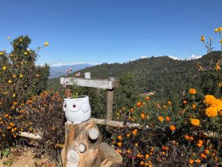 Aranya Anandam Homestay - 6