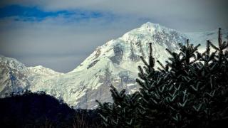 HimalayaNest - All Inclusive Eco and Local Food - 8