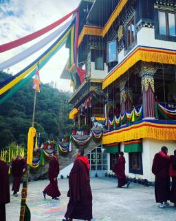 HimalayaNest - All Inclusive Eco and Local Food - 1