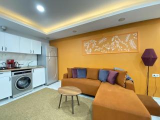 Stylish 2BR Flat with Private Terrace Near Istikla - 2