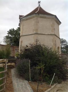 Le Colombier de la Graverie - Senots - 7