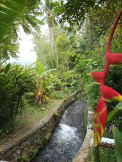 Natha House - Riverside Homestay in Buleleng - 2