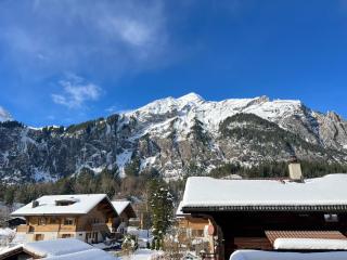 Chalet Mountain Lodge - Kandersteg - 0