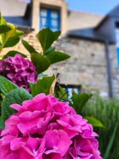 Manoir Des Douets Fleuris - 9