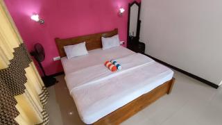 Nine Arch Araliya Homestay - 1