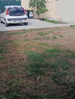 L'escale Foyalaise - wifi, clim, jardin créole, parking privatif - 9