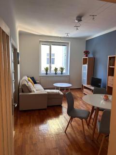 Bright & Spacious Family Apartment - 3