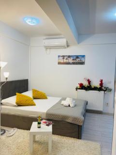 Studio Dumy near Airport - 8