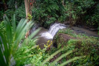 Oemah Ubud - Waterfall - Gianyar - 5