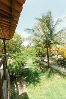 Pura Vida Hostel e Pousada - Boipeba - 4