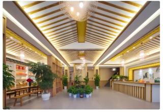 Zhangjiajie Oxygen Lodge - 8