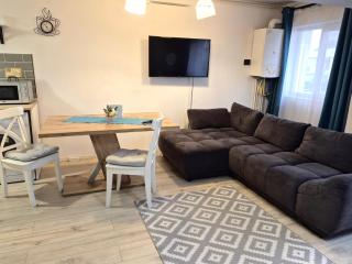 Petrosani Central ApartHotel - 7