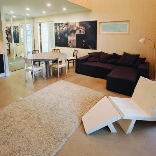 The other side of the CLT semi-detached house, with a separate SPA - 0