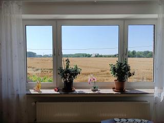 Lovely apartment in Oelde with separate entrance - 7