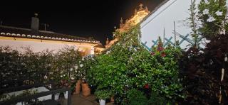 Apartamentos Los Descalzos Ángel With Private Terrace Free Parking - 2