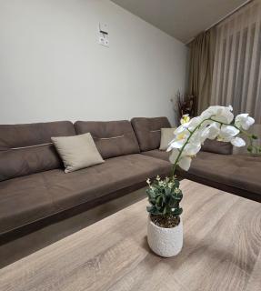 Апартаменти Шадравана - 4