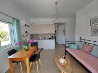 Dimitra's Pretty Apartment 4 klm away from Chora - 1