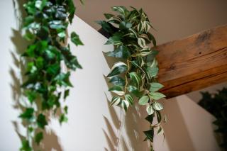 Novita apartment 2 - central - balcony - mountain views - 9