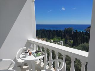 Dimitra's Apartments 4 klm away from Chora - 0